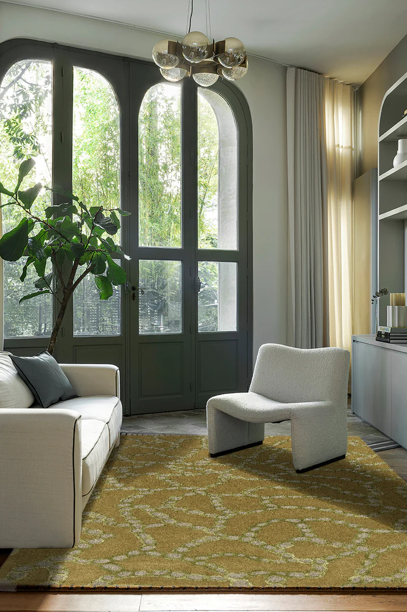 CARPET FOSSILES
